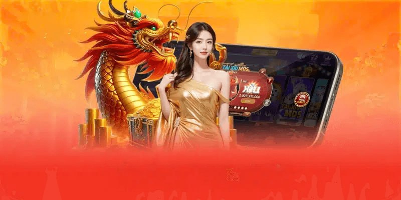 Quyền hạn điều khoản sử dụng vip66 và giới hạn trách nhiệm của đôi bên